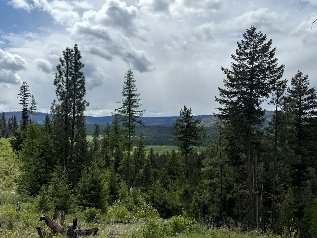Nhn N Dayton Creek Road Proctor MT 59929