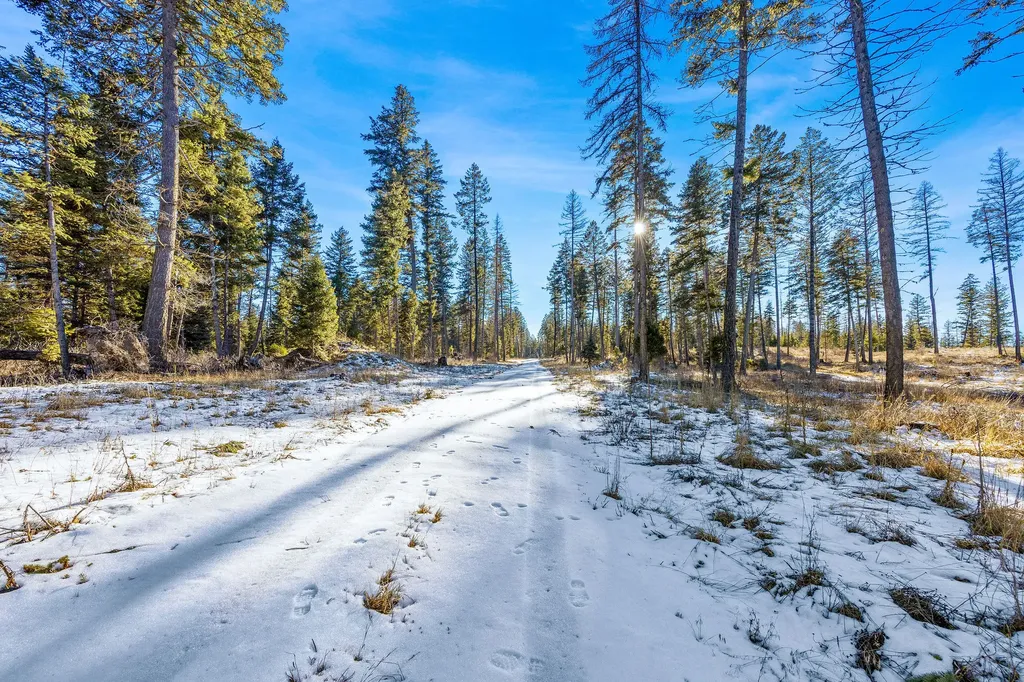 Nhn N Dayton Creek Road Proctor MT 59929