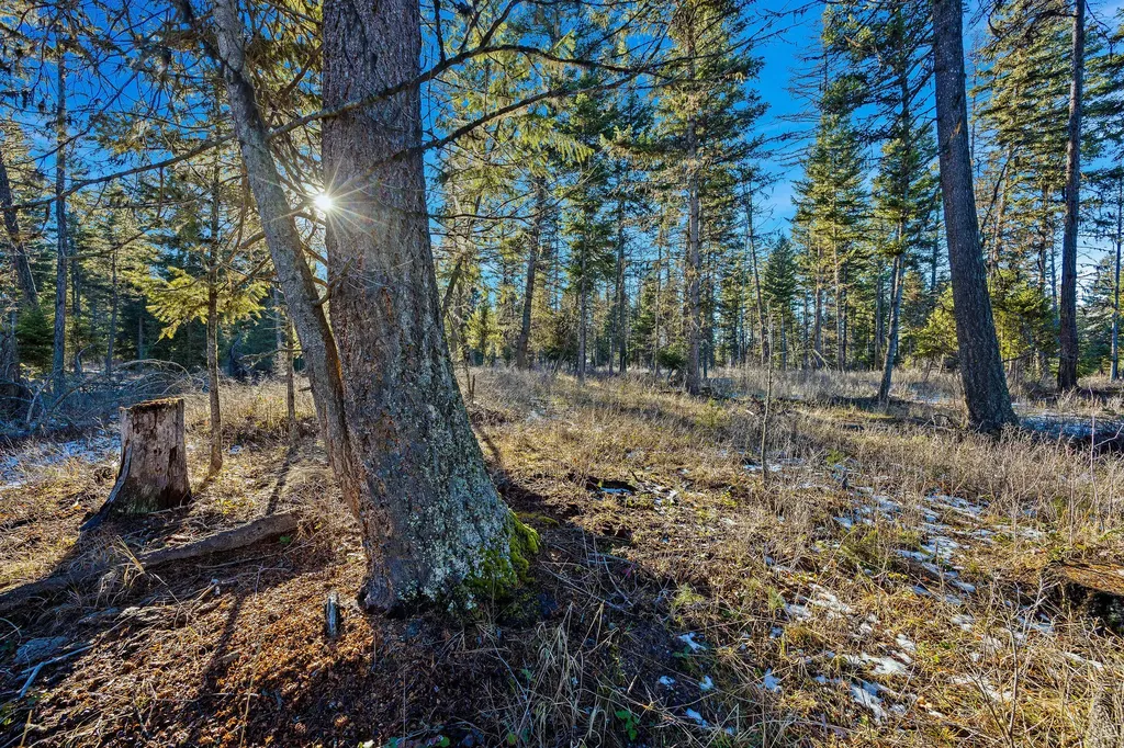 Nhn N Dayton Creek Road Proctor MT 59929