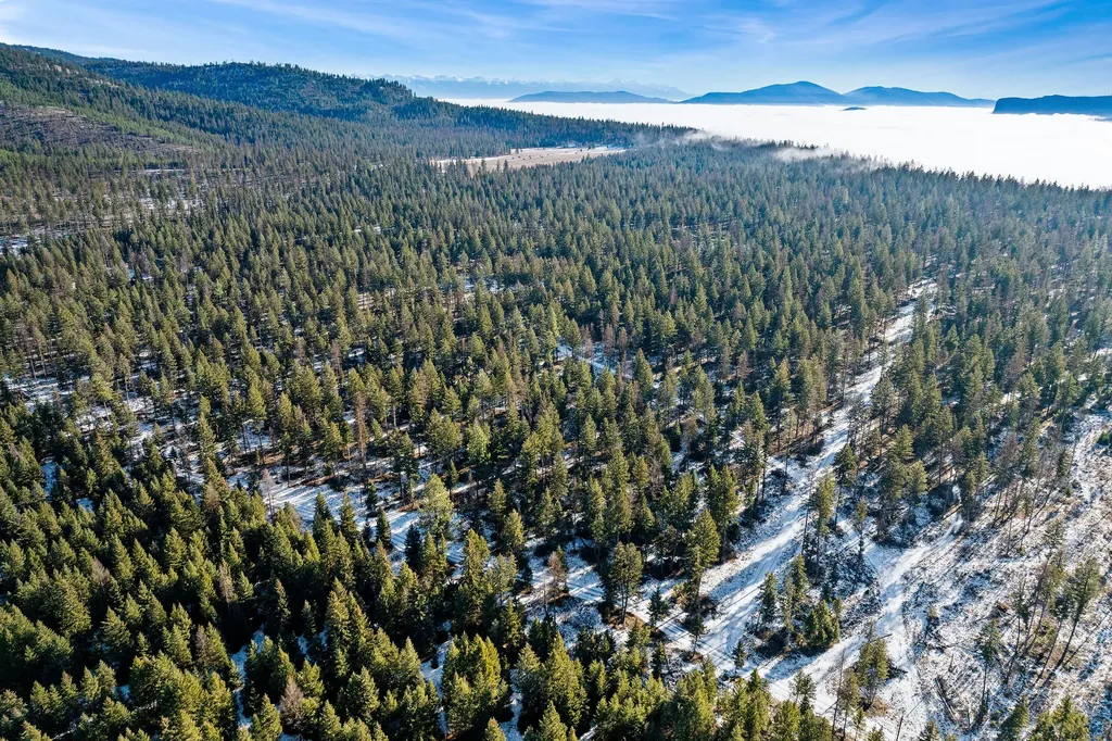 Nhn N Dayton Creek Road Proctor MT 59929