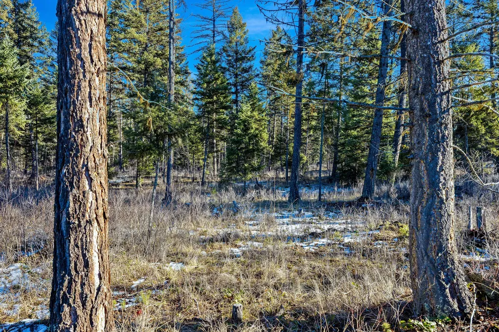 Nhn N Dayton Creek Road Proctor MT 59929