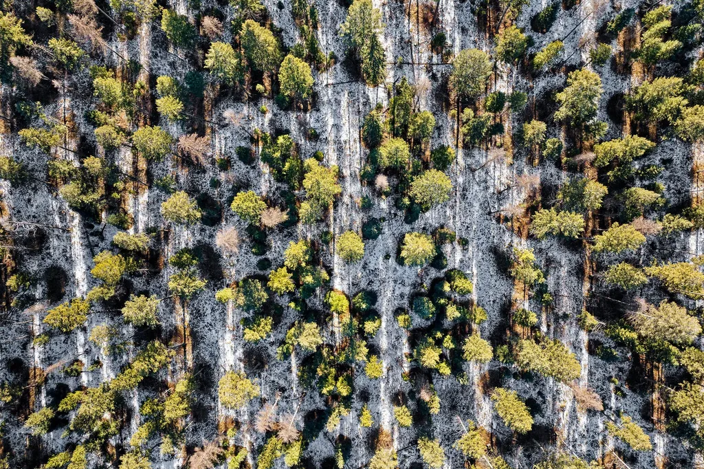 Nhn N Dayton Creek Road Proctor MT 59929