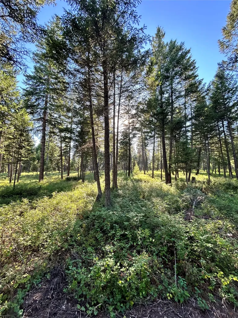 Tbd Eagle Run Drive Whitefish MT 59937