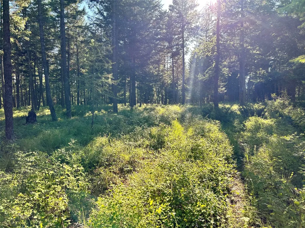 Tbd Eagle Run Drive Whitefish MT 59937