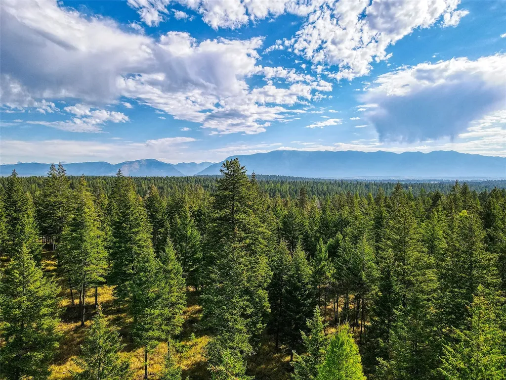 Tbd Eagle Run Drive Whitefish MT 59937