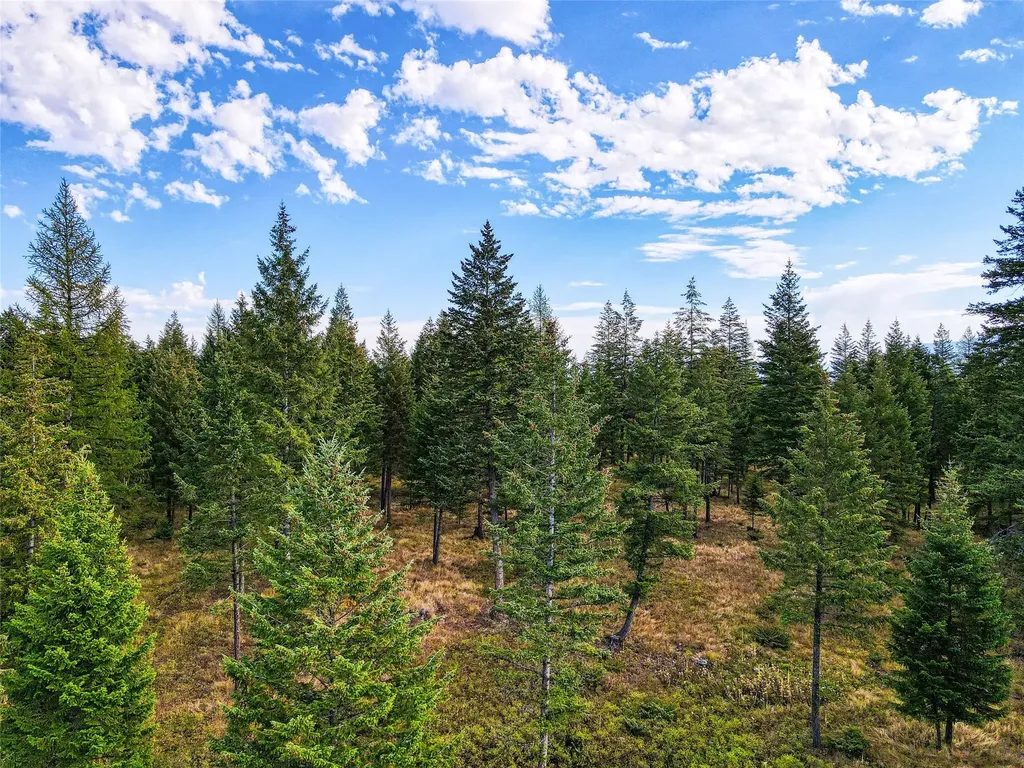 Tbd Eagle Run Drive Whitefish MT 59937