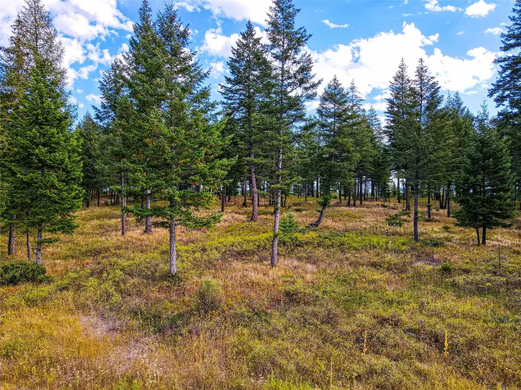 Tbd Eagle Run Drive Whitefish MT 59937