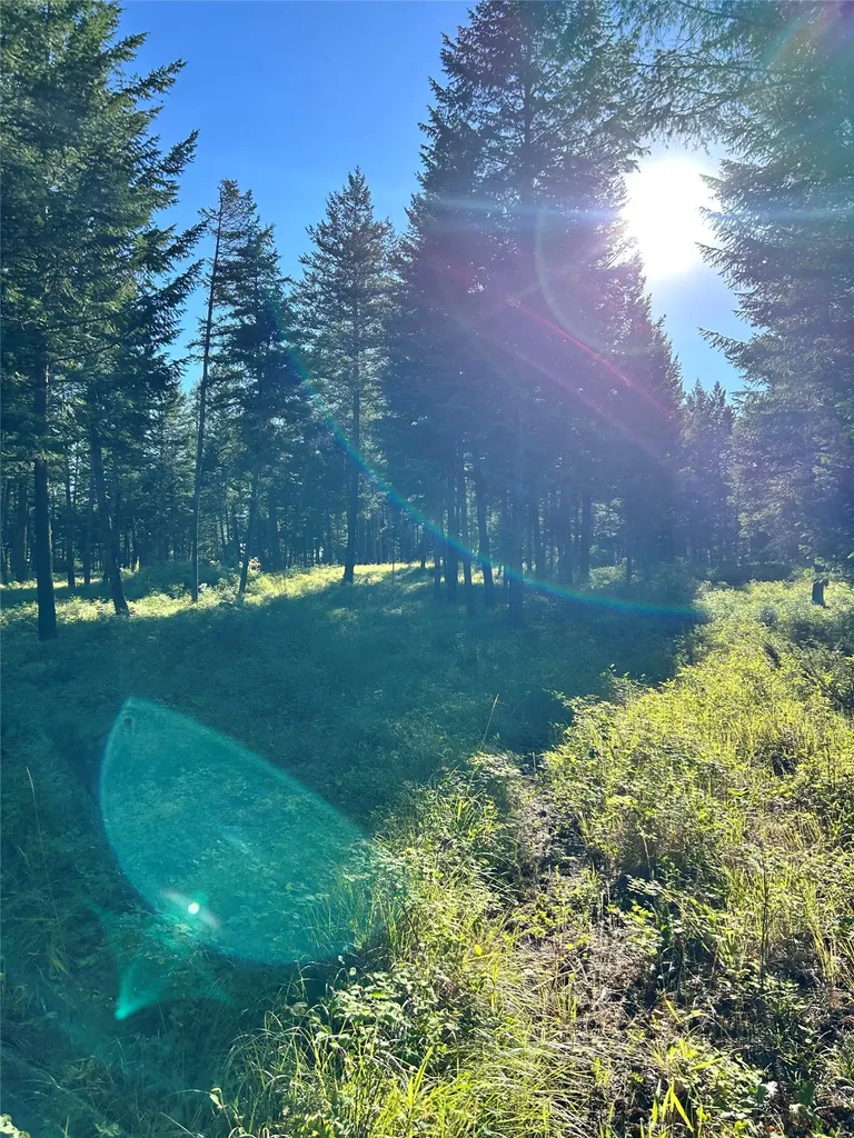 Tbd Eagle Run Drive Whitefish MT 59937