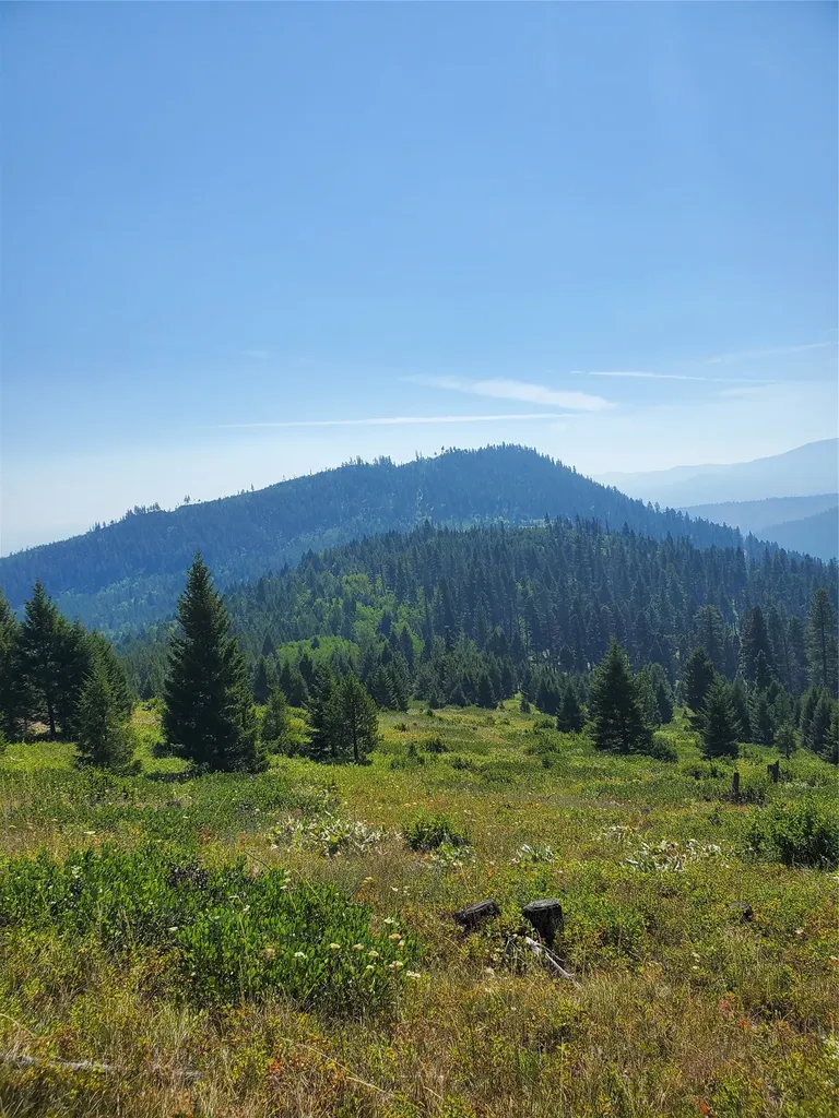 No Known 2 Bear Springs Road Lincoln MT 59639