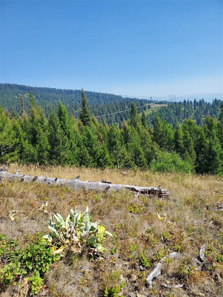 No Known 2 Bear Springs Road Lincoln MT 59639