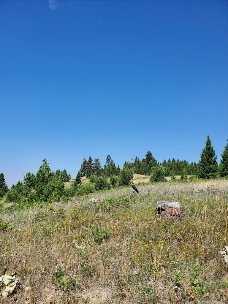 No Known 2 Bear Springs Road Lincoln MT 59639