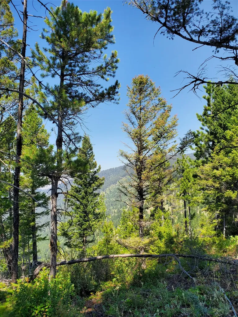 No Known 2 Bear Springs Road Lincoln MT 59639