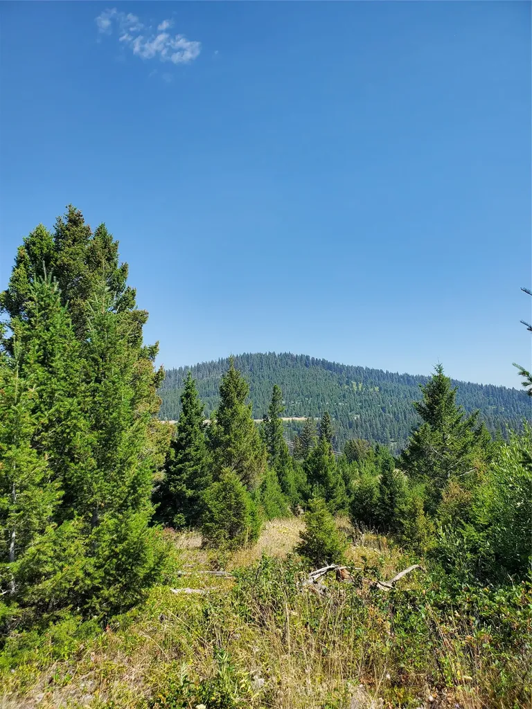 No Known 2 Bear Springs Road Lincoln MT 59639