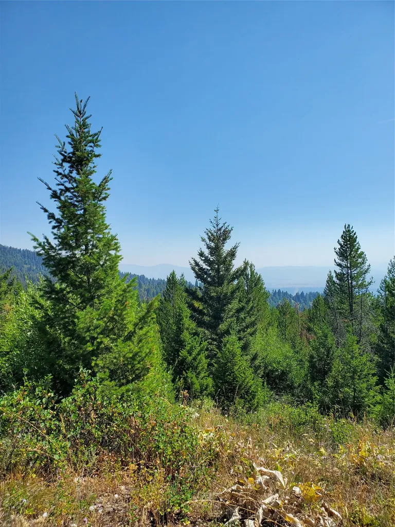No Known 2 Bear Springs Road Lincoln MT 59639