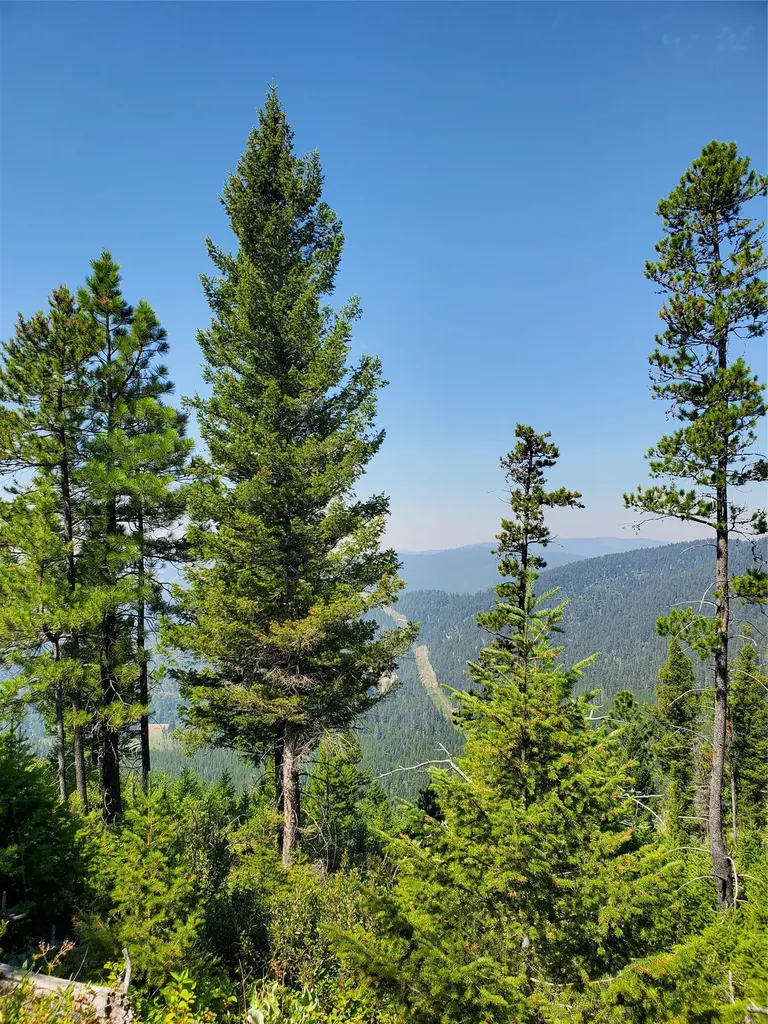 No Known 2 Bear Springs Road Lincoln MT 59639