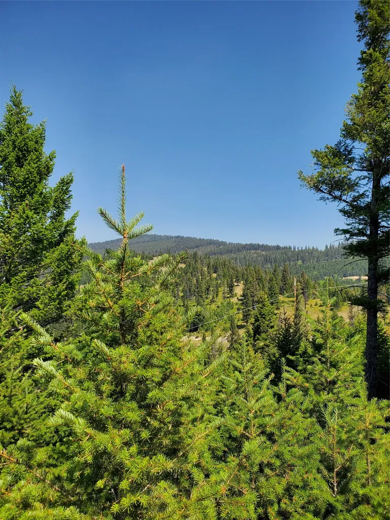 No Known 2 Bear Springs Road Lincoln MT 59639
