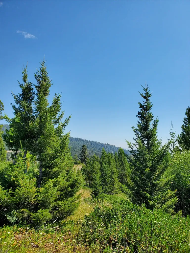 No Known 2 Bear Springs Road Lincoln MT 59639
