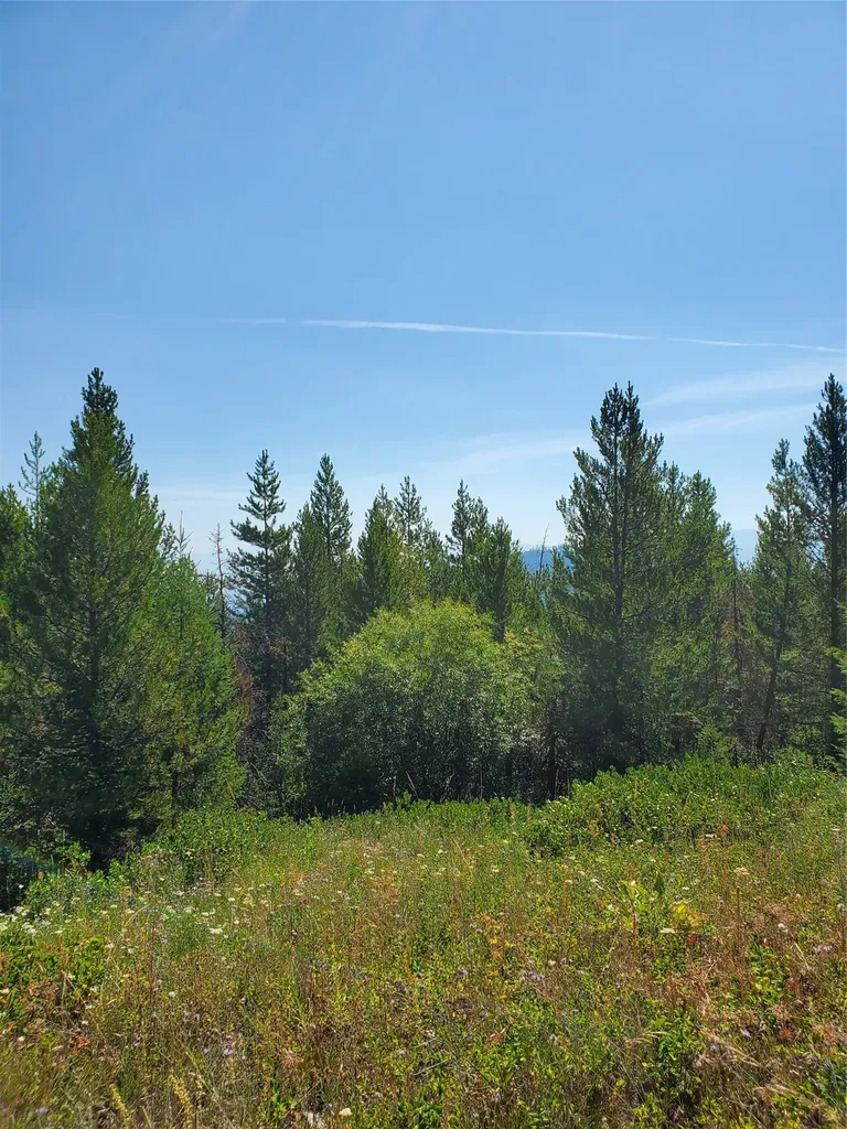 No Known 2 Bear Springs Road Lincoln MT 59639