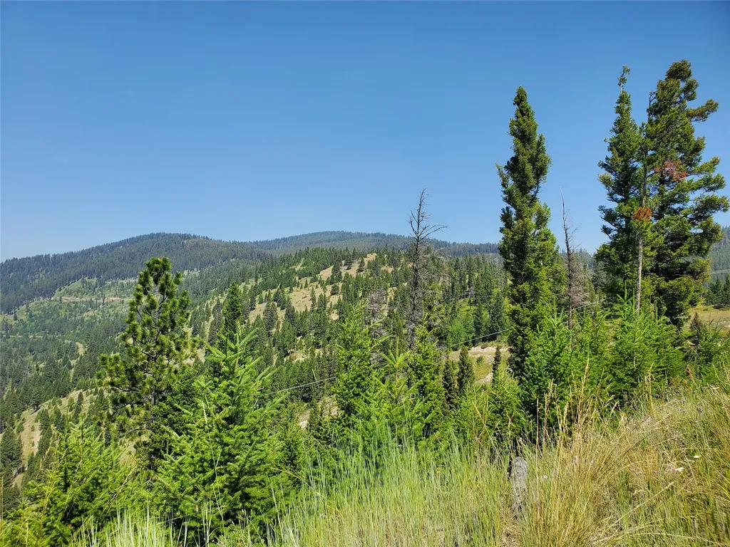 No Known 2 Bear Springs Road Lincoln MT 59639