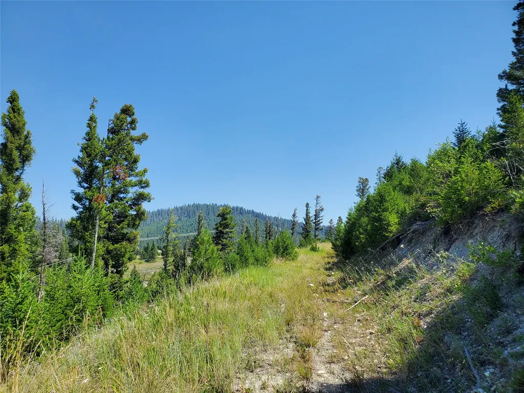 No Known 2 Bear Springs Road Lincoln MT 59639