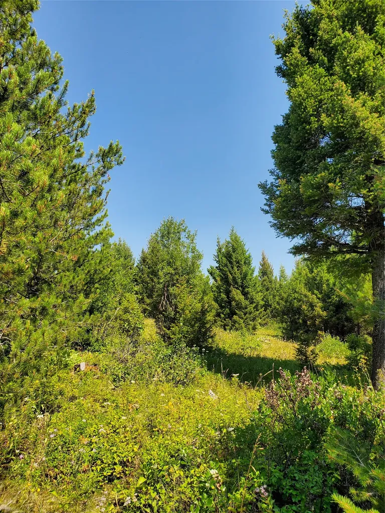 No Known 2 Bear Springs Road Lincoln MT 59639