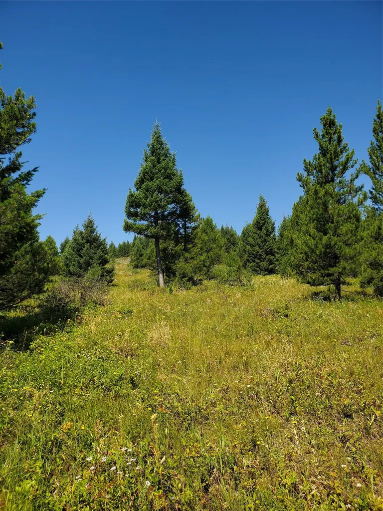 No Known 2 Bear Springs Road Lincoln MT 59639