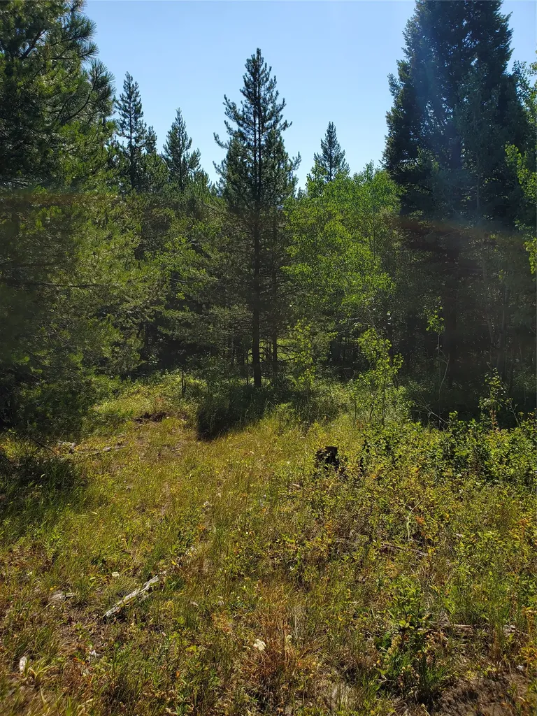 No Known 2 Bear Springs Road Lincoln MT 59639