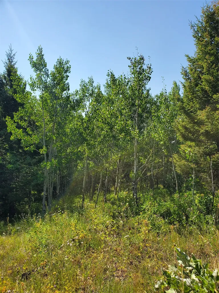 No Known 2 Bear Springs Road Lincoln MT 59639