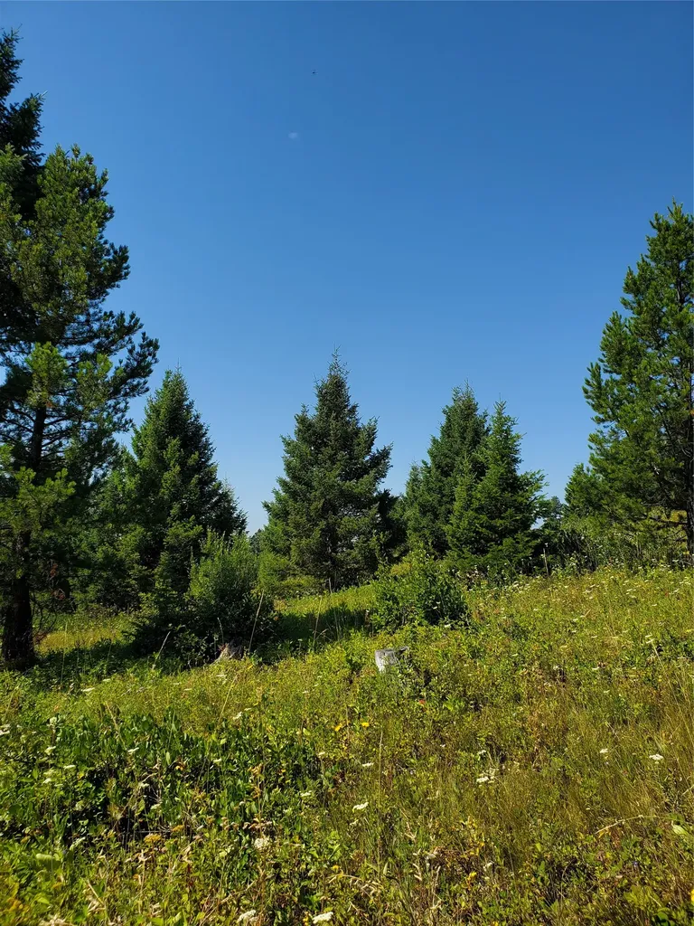 No Known 2 Bear Springs Road Lincoln MT 59639