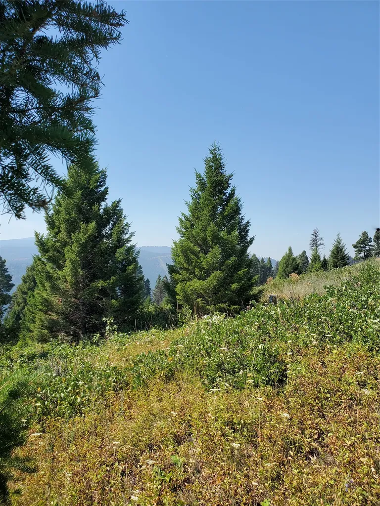 No Known 2 Bear Springs Road Lincoln MT 59639