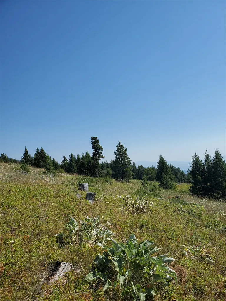 No Known 2 Bear Springs Road Lincoln MT 59639
