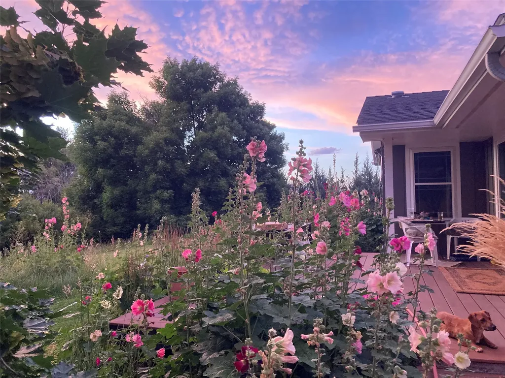1948 Mountain View Orchard Road Corvallis MT 59828