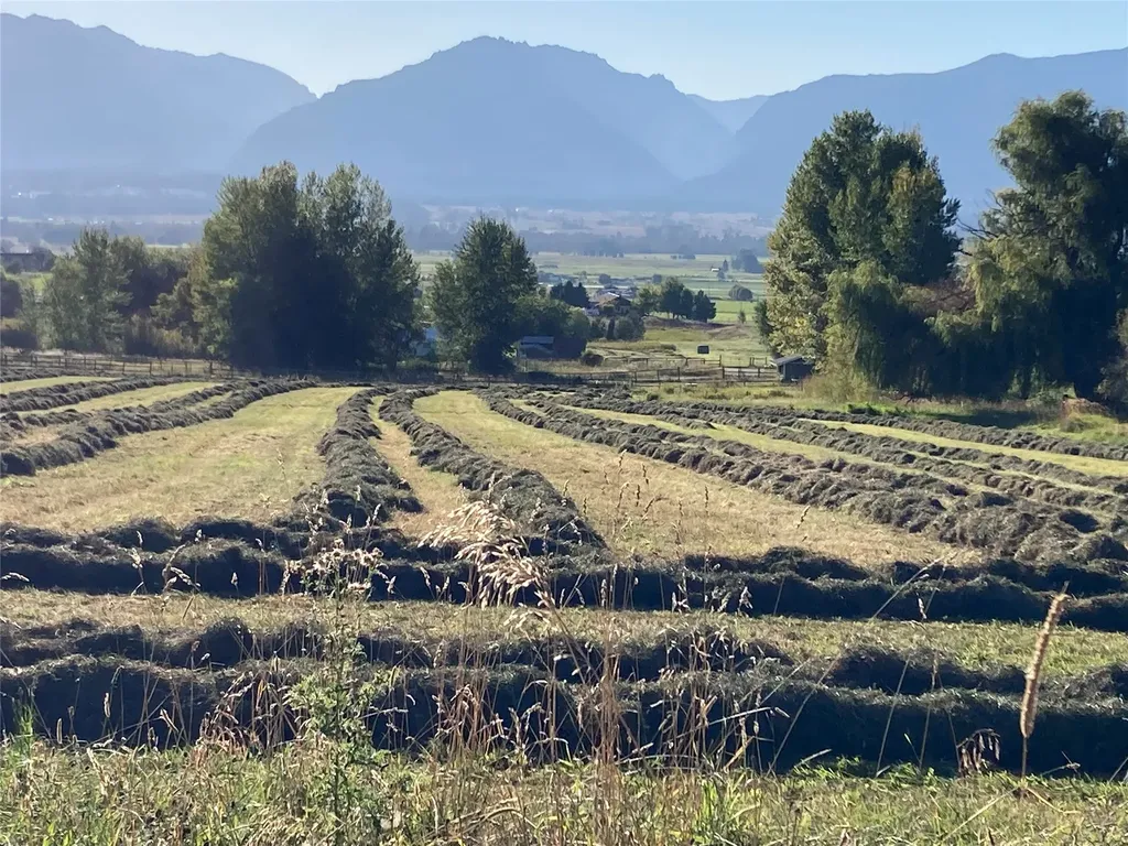 1948 Mountain View Orchard Road Corvallis MT 59828