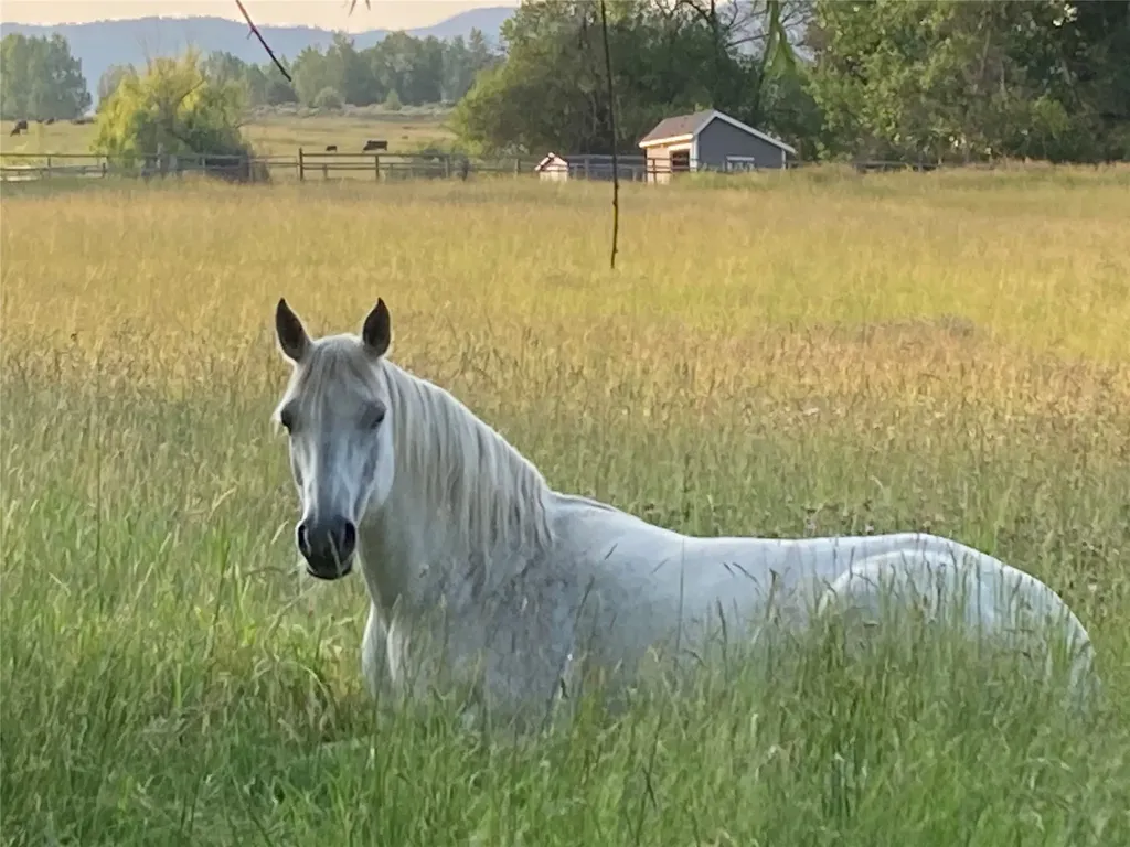 1948 Mountain View Orchard Road Corvallis MT 59828