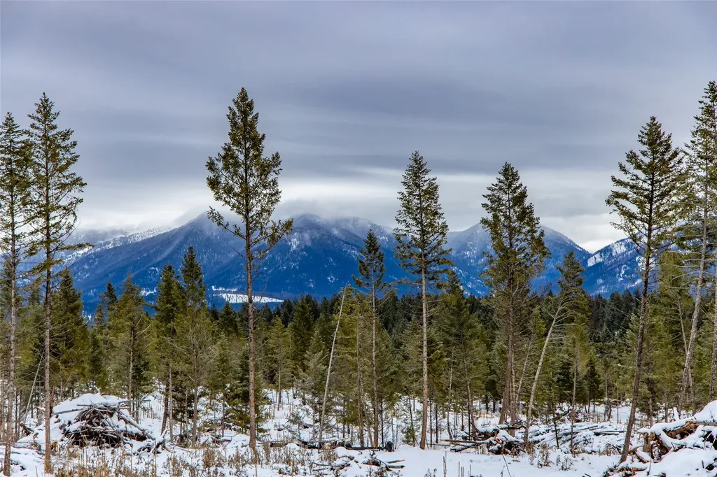 20 Starling Drive Eureka MT 59917