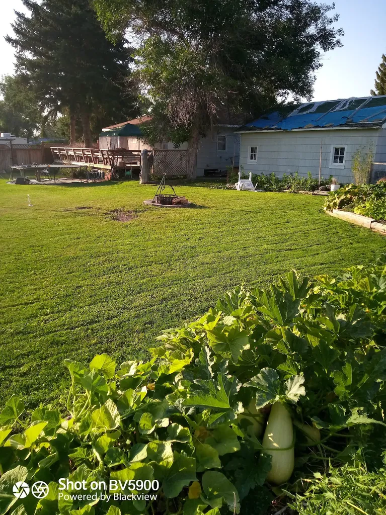 509 Michigan Street Conrad MT 59425