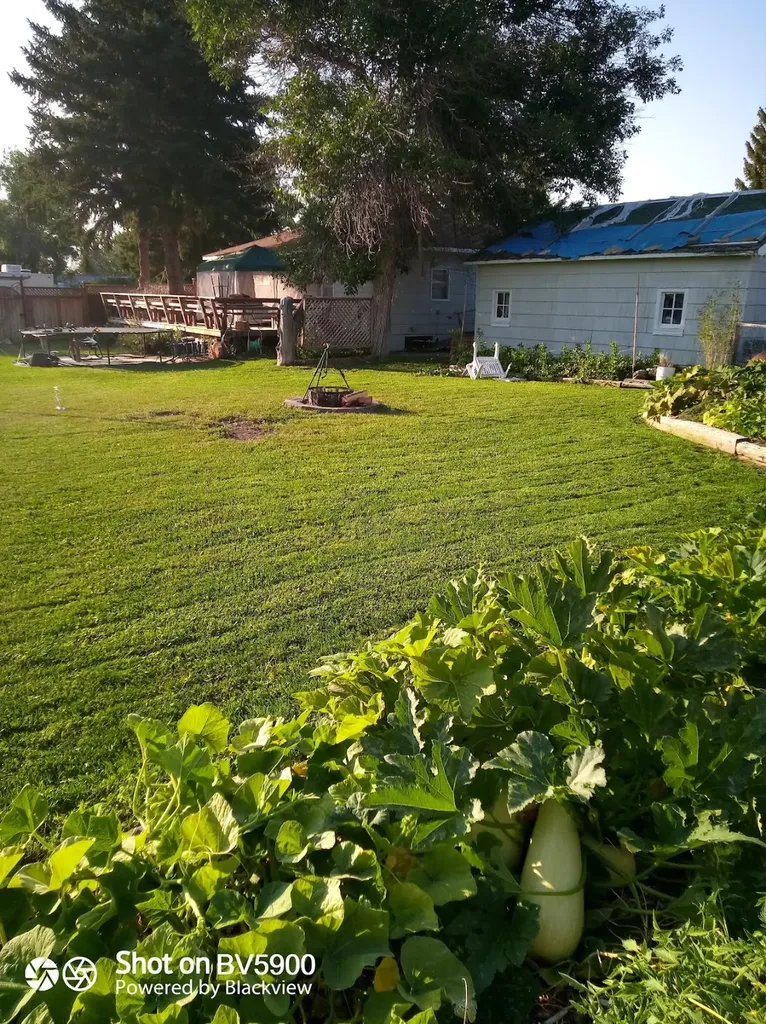 509 Michigan Street Conrad MT 59425