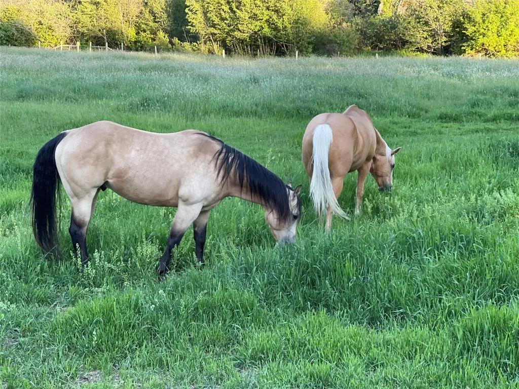 1789 Skalkaho Highway Hamilton MT 59840