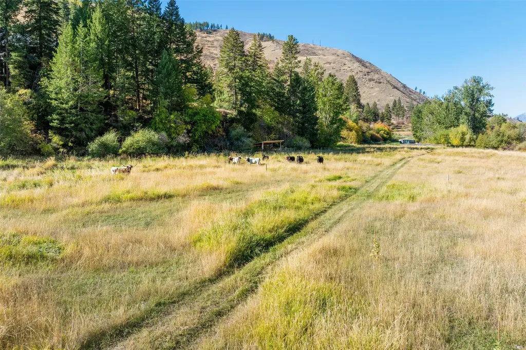 1789 Skalkaho Highway Hamilton MT 59840