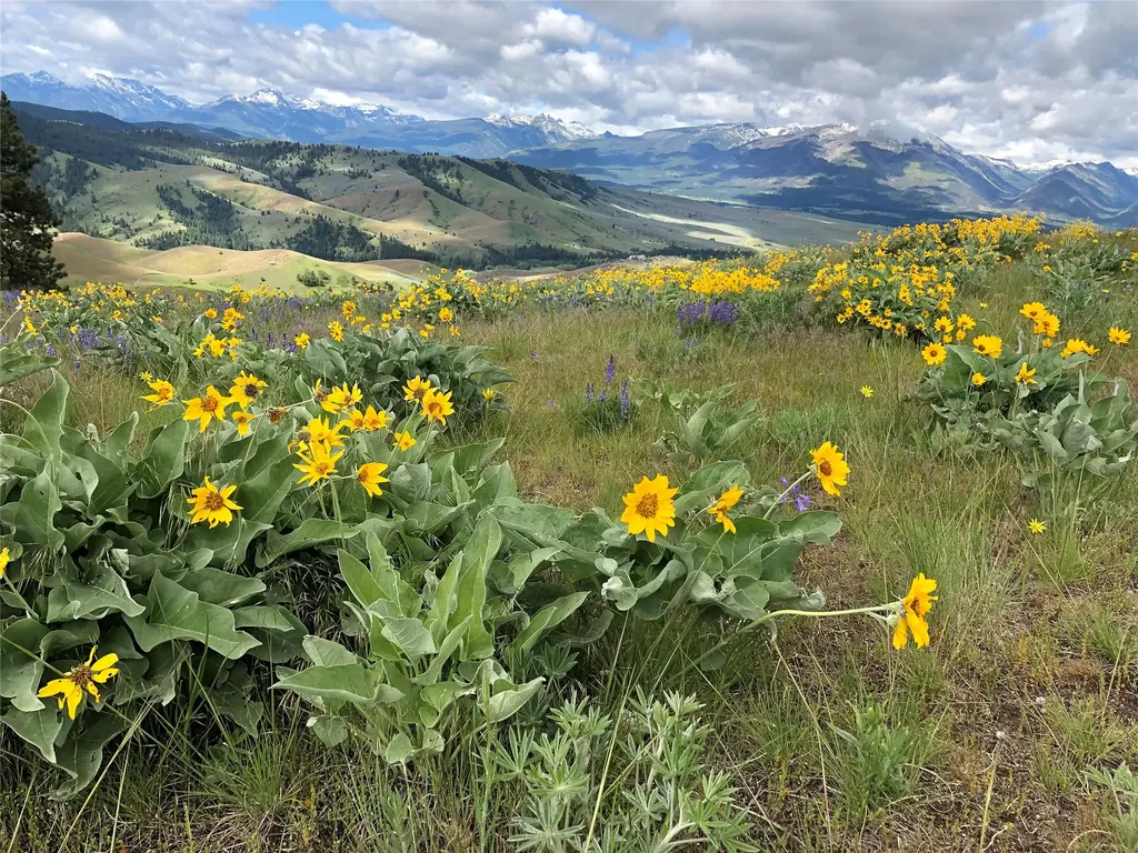 1789 Skalkaho Highway Hamilton MT 59840