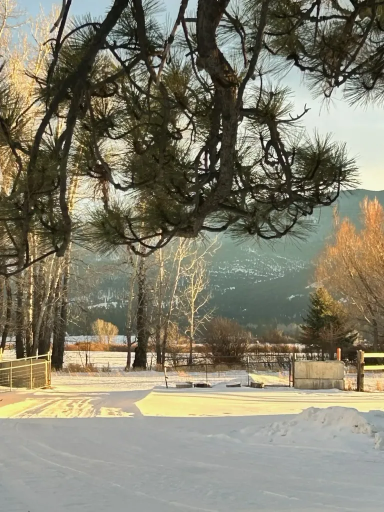 492 Stemple Pass Road Lincoln MT 59639