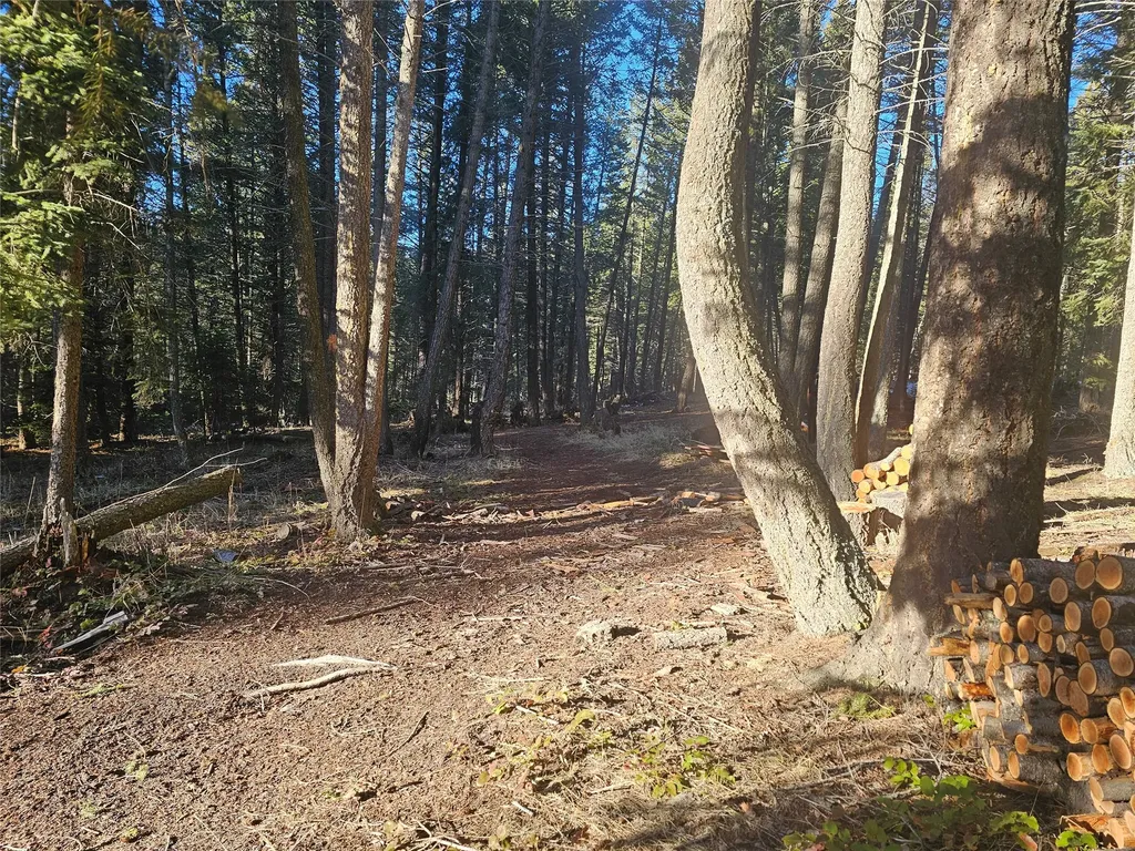 1330 Coon Hollow Road Kila MT 59920