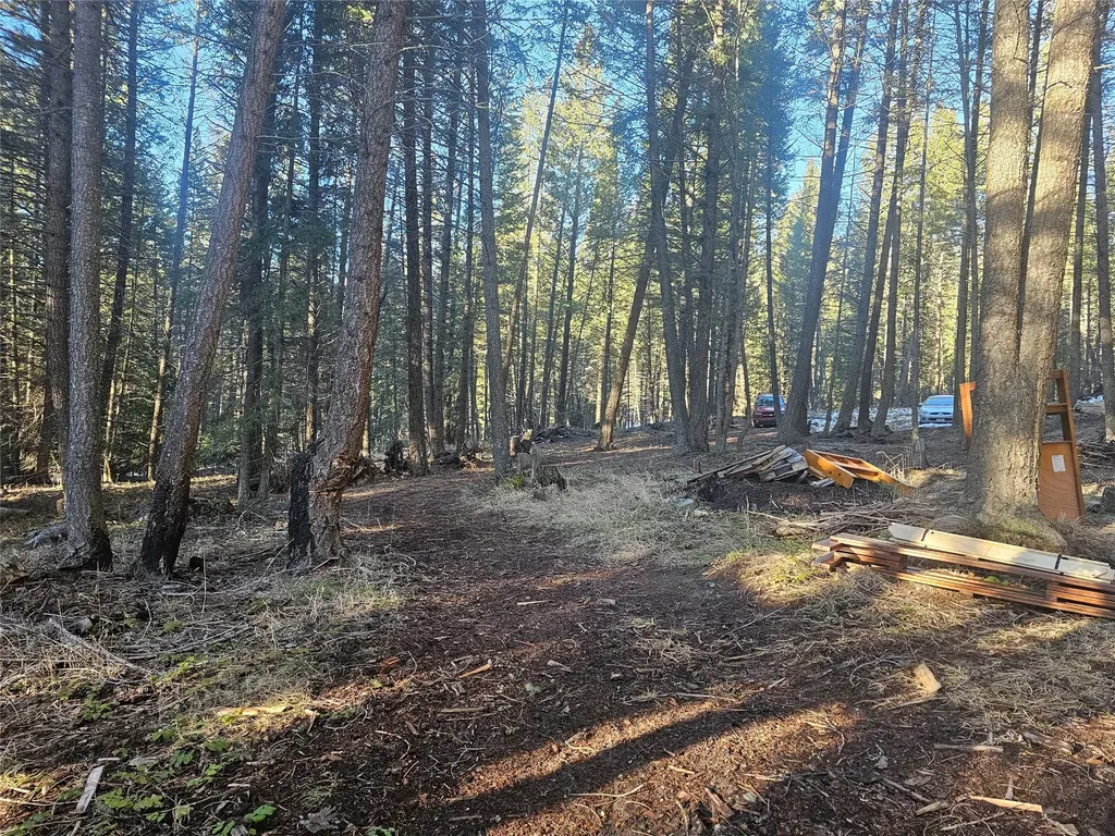 1330 Coon Hollow Road Kila MT 59920
