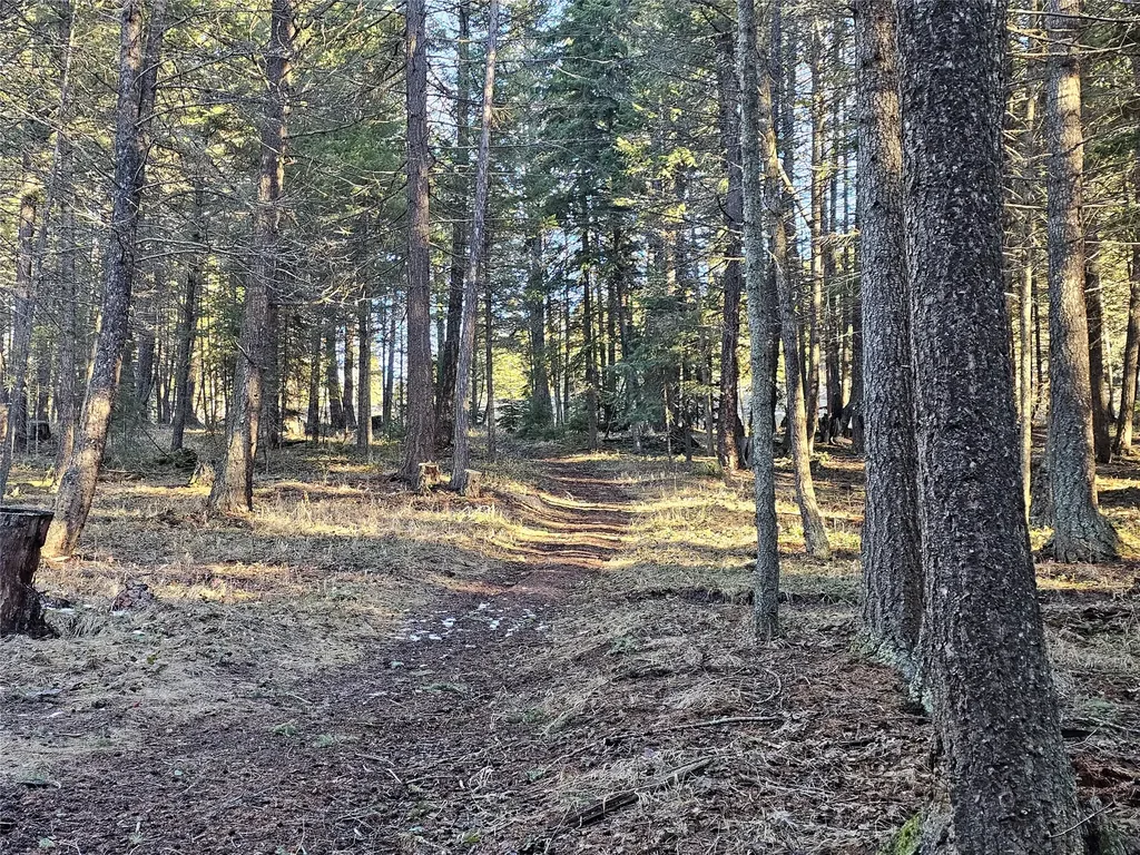 1330 Coon Hollow Road Kila MT 59920