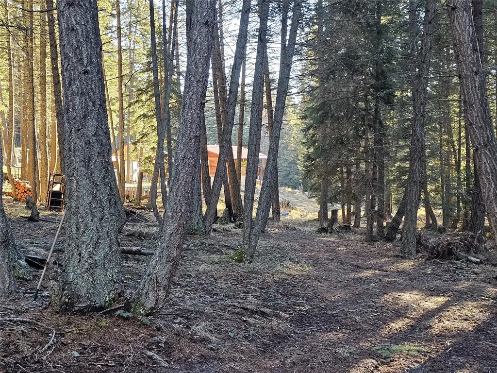 1330 Coon Hollow Road Kila MT 59920