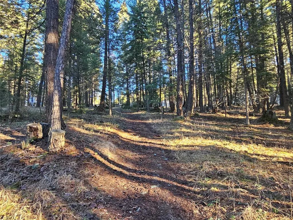 1330 Coon Hollow Road Kila MT 59920