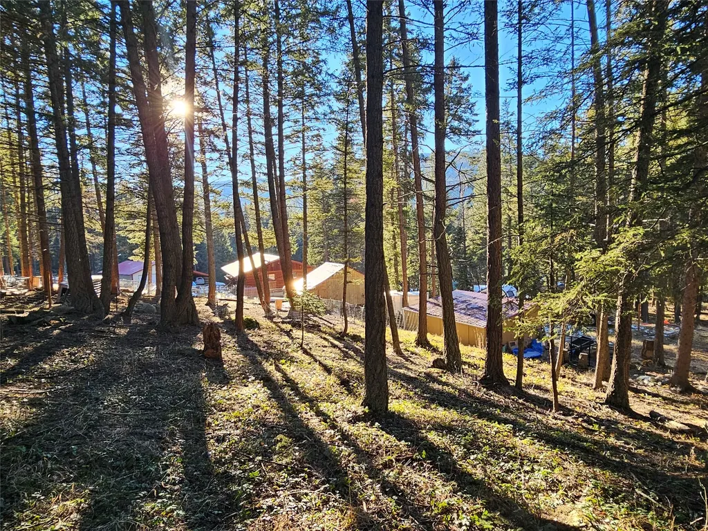 1330 Coon Hollow Road Kila MT 59920