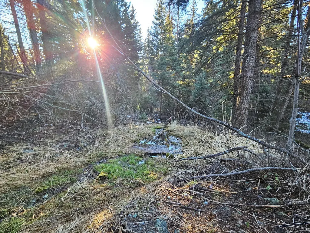 1330 Coon Hollow Road Kila MT 59920