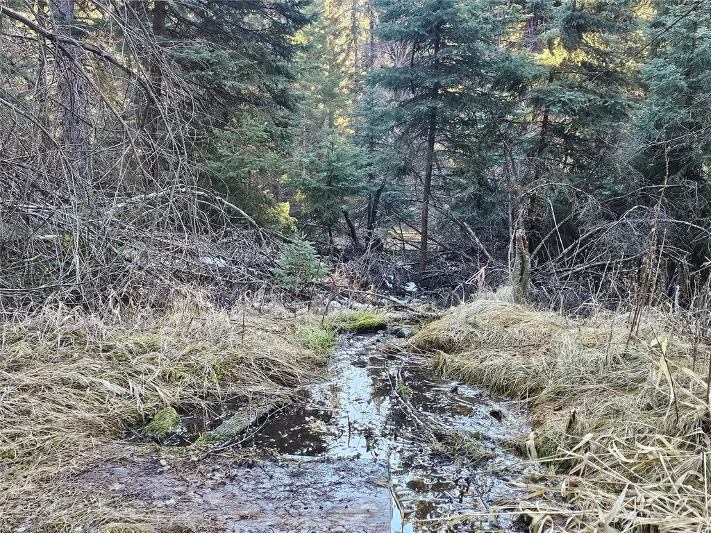 1330 Coon Hollow Road Kila MT 59920