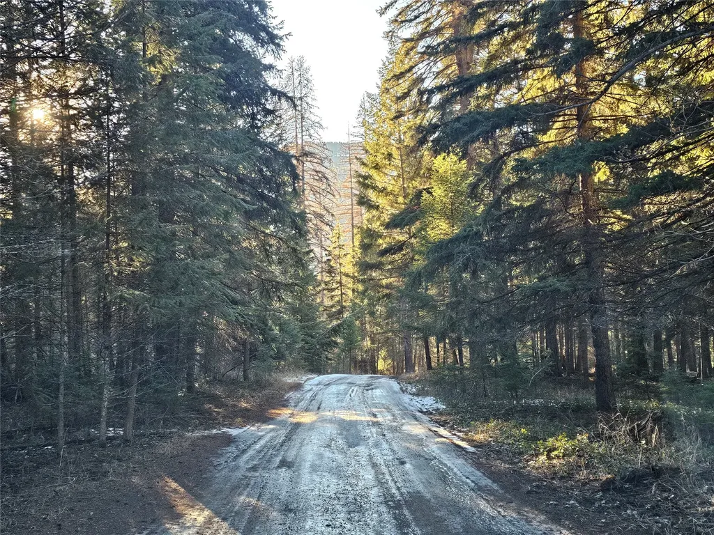 1330 Coon Hollow Road Kila MT 59920